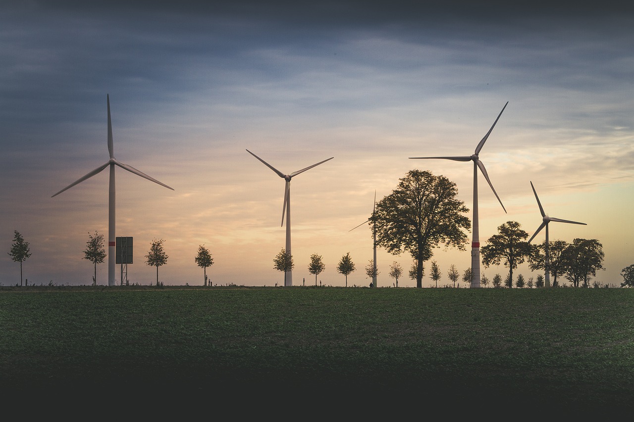 Environmental Consultancy